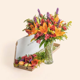 The Zara, £23 single bouquet or £15 on subscription.