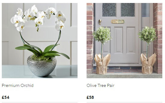 Orchids and trees are also available, with free delivery.