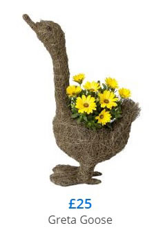 Buy special flowerpot and plant arrangements.